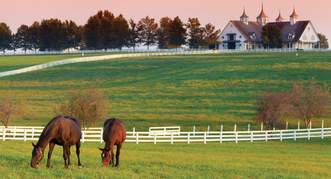 Kentucky horse farm at sunset with white fences